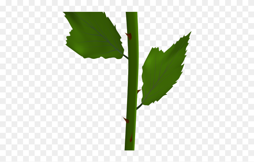 Single Yellow Rose Png Clipart