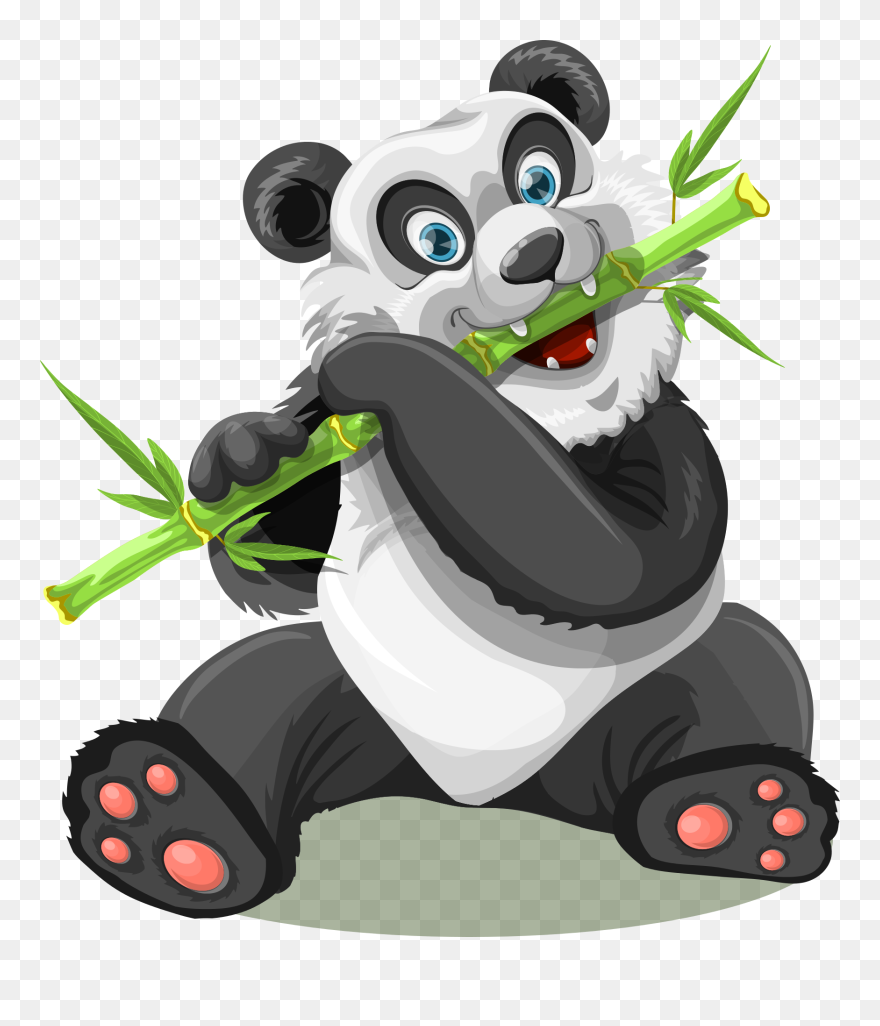 Eating Bamboo Of Panda Clipart