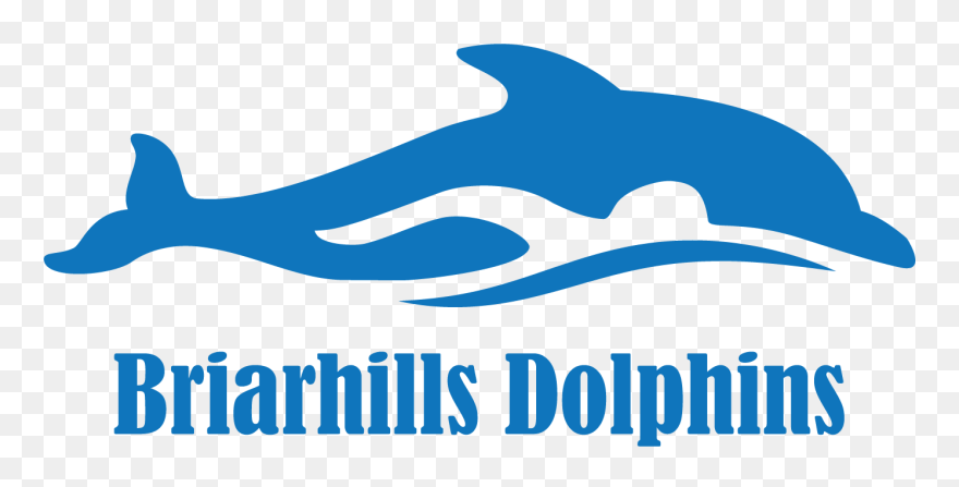 Briarhills Dolphins Swim Team Logo Clipart