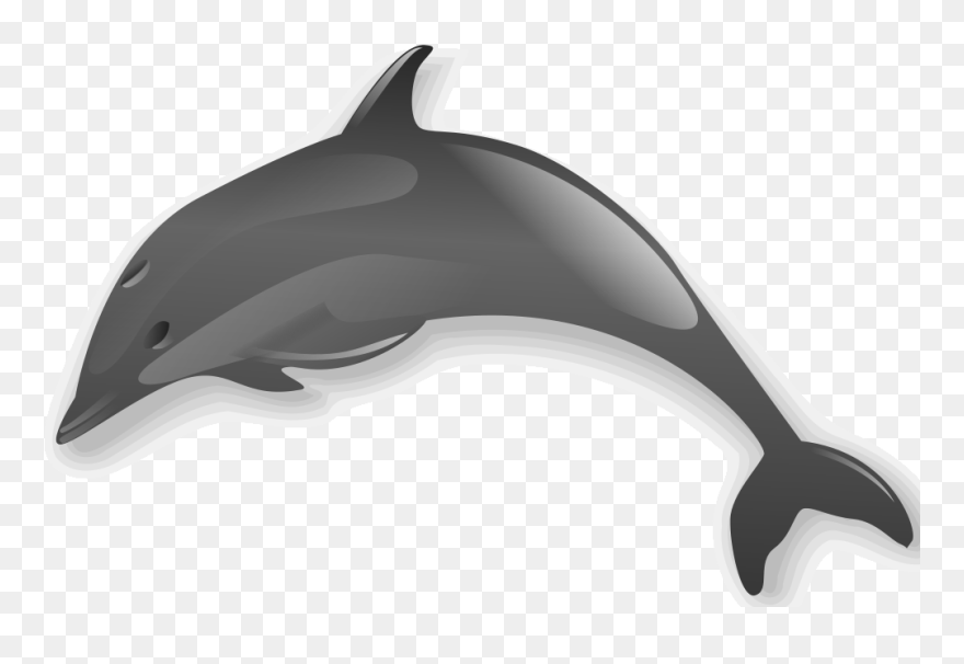 Dolphin 2 - Dolphin Clipart With Transparent Background - Png Download