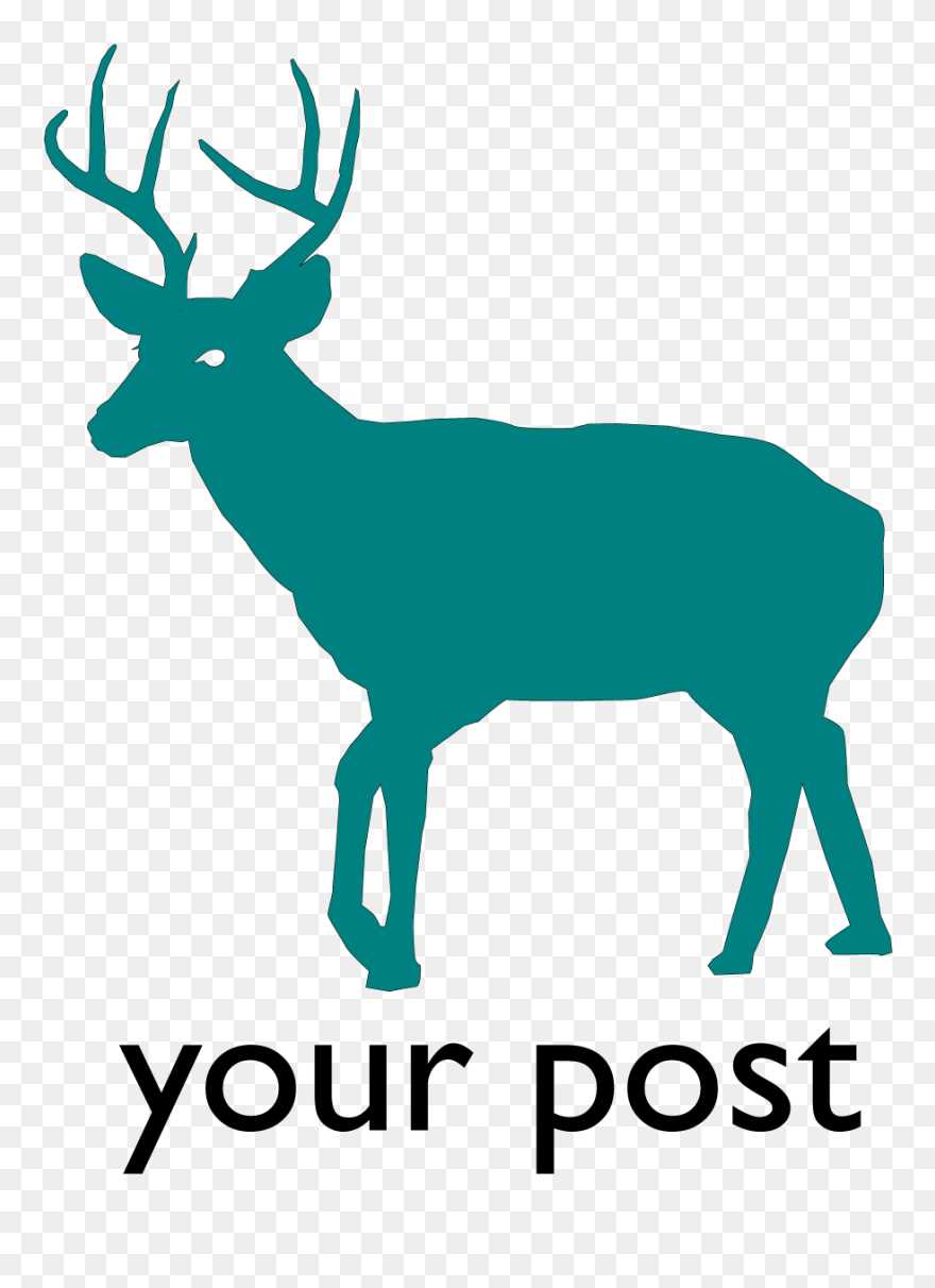 White-tailed Deer Silhouette Clip Art - Transparent Deer Silhouette - Png Download