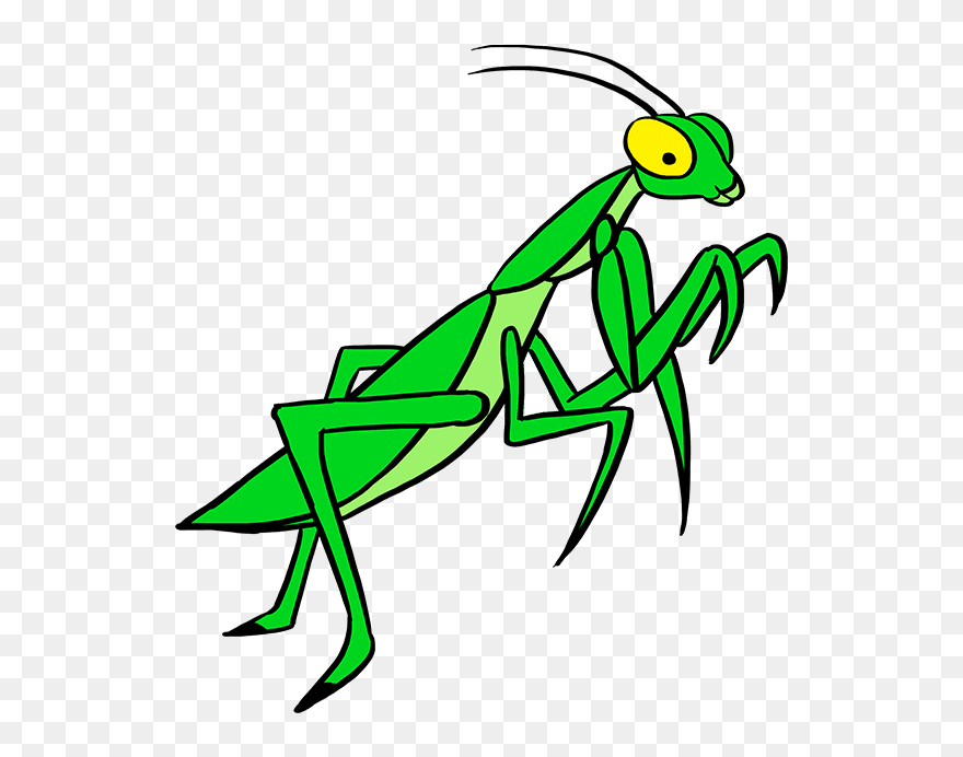 Transparent Praying Mantis Clip Art - Praying Mantis Drawing Easy - Png Download