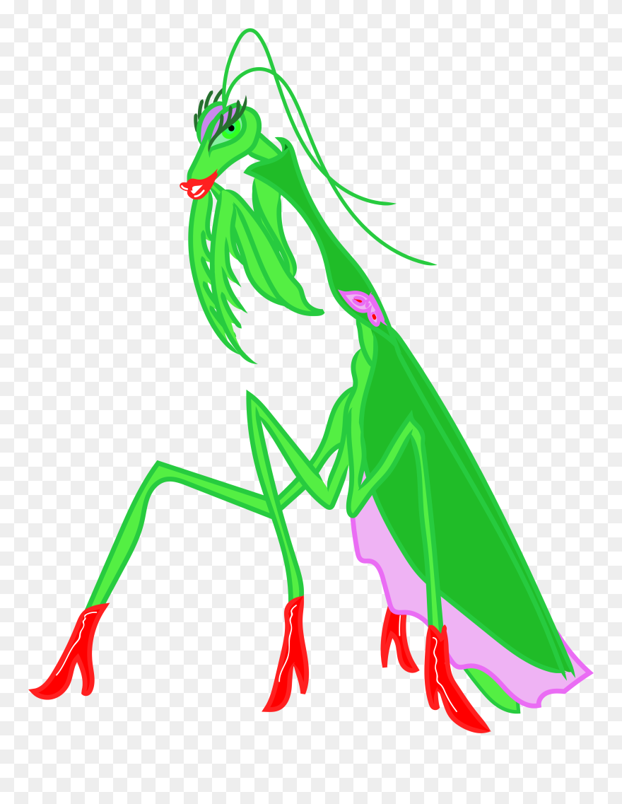 Illustration Clipart