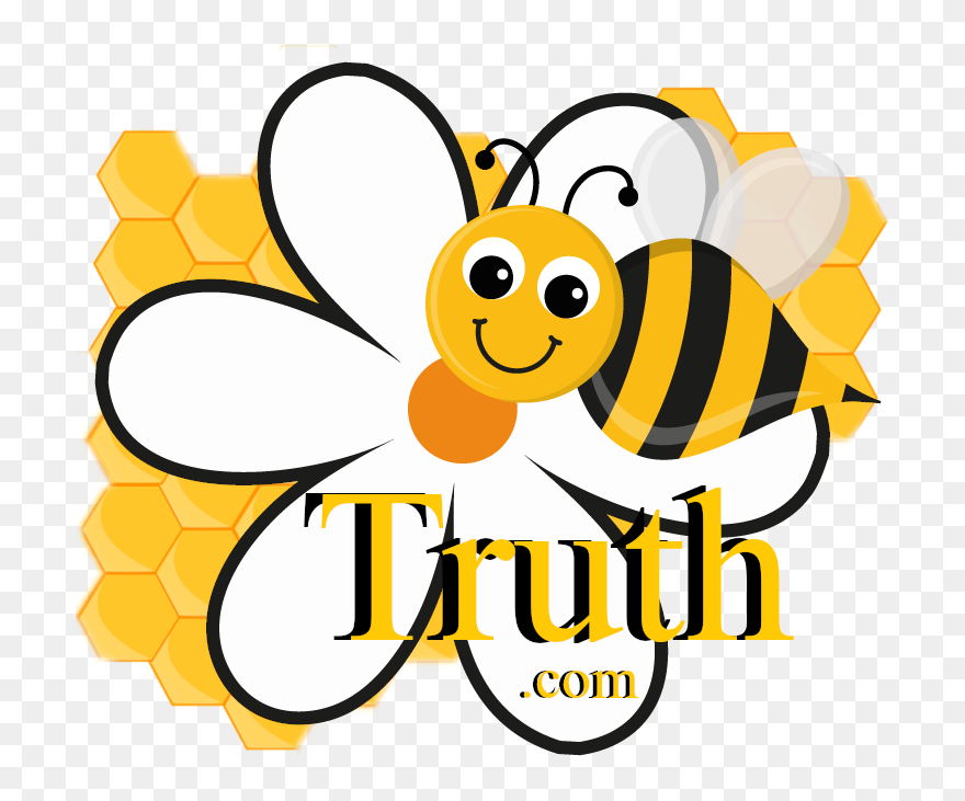 Bee And Flower Illustration Clipart