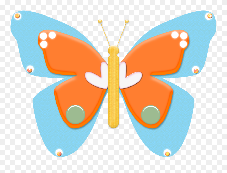 Cynthia (subgenus) Clipart