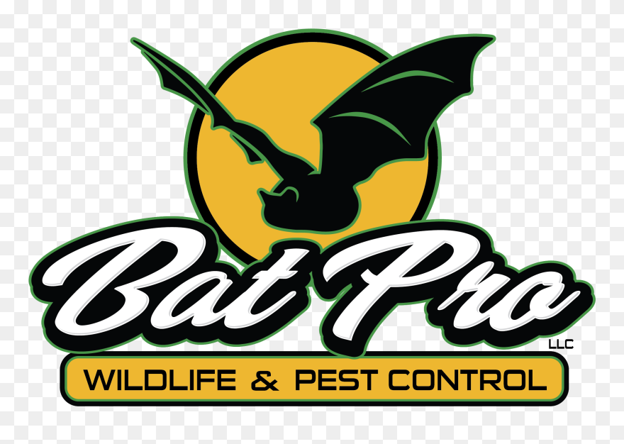 Batpro® Wildlife & Pest Control, Llc Clipart