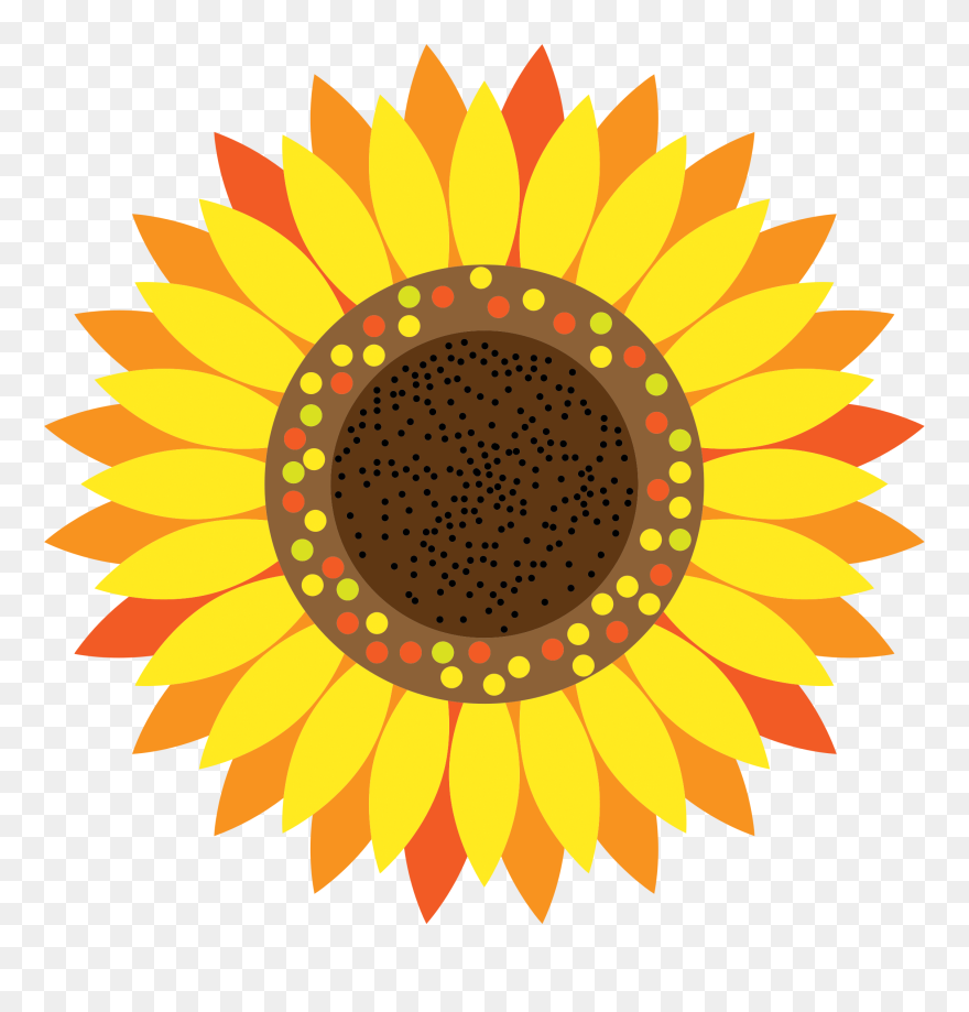 Image Of Sunflower Clipart Clipart Sunflower - Sunflower Cartoon - Png Download