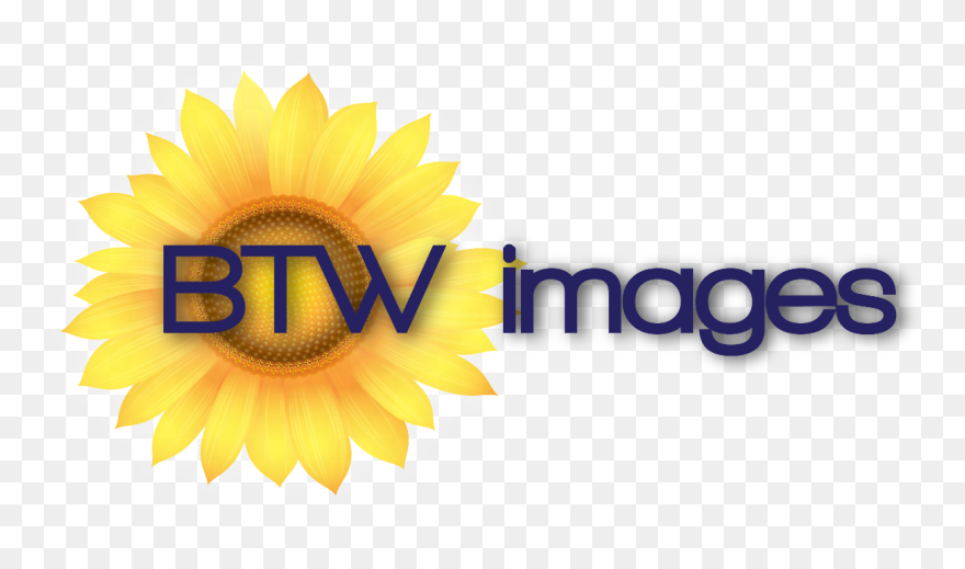 Btw Images, Llc - Sunflower Clipart