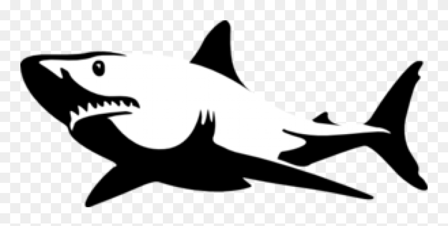 Black And White Shark Clipart - Png Download
