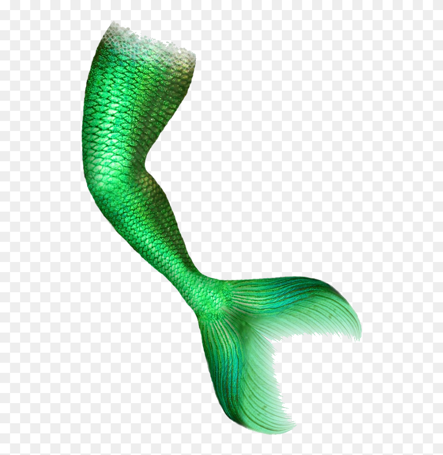 Mermaid Png For Computer - Mermaid Tail Green Screen Clipart