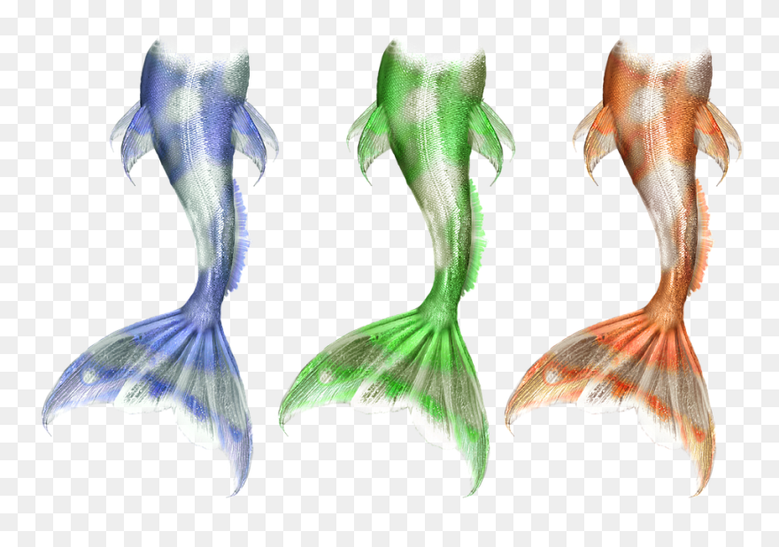 Transparent Neptune God Clipart - Mermaid Tail Drawing - Png Download