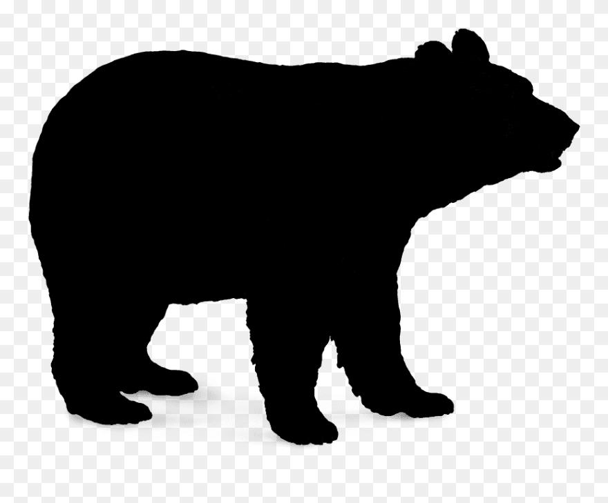 Polar Bear Brown Bear American Black Bear Vector Graphics - Black Bear Vector Png Clipart