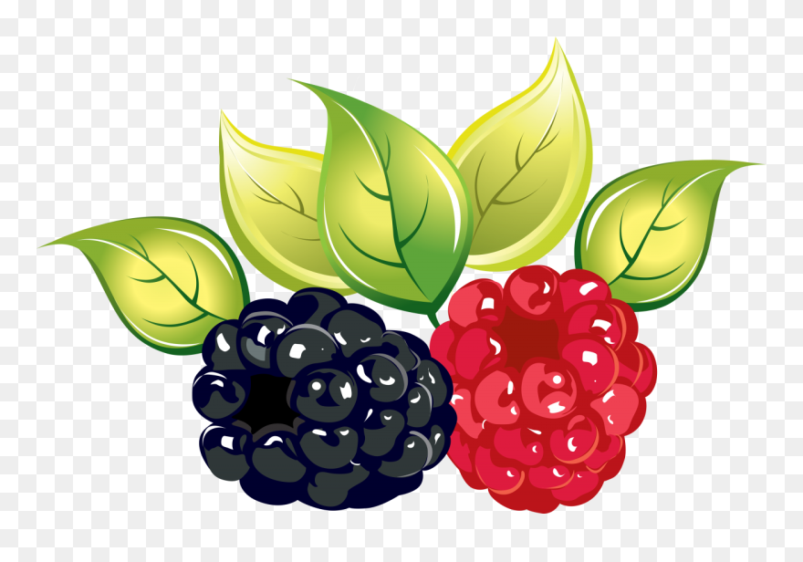 Rasberry Clipart Png Image - Transparent Berry Clipart