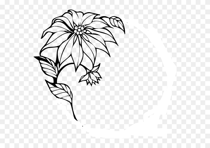 Christmas Flower Clip Art - Flower Border Black And White Drawing - Png Download