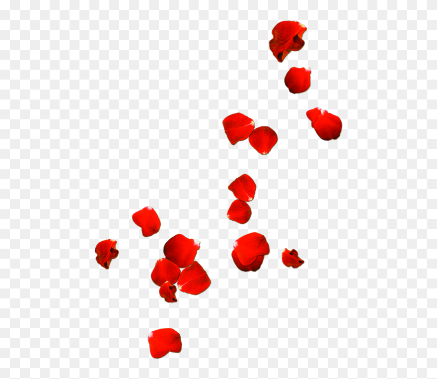 Transparent Red Roses Border Png - Red Rose Petals Png Clipart