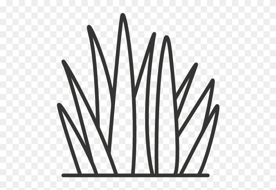 Clip Art - Png Download