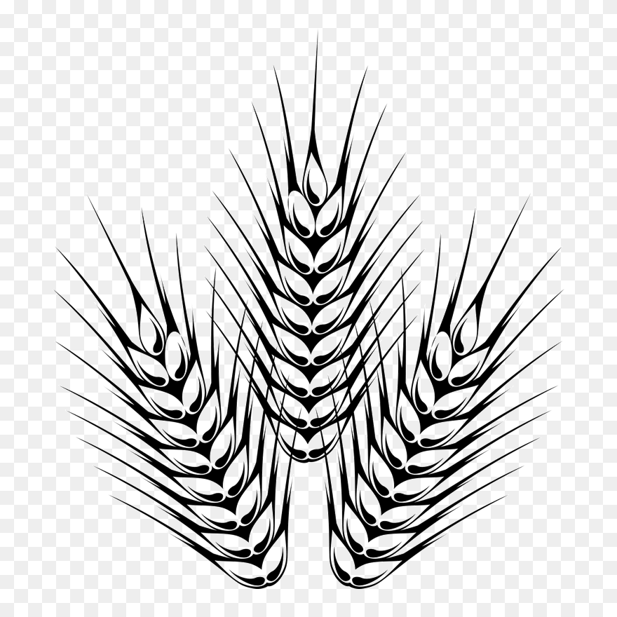 Barley Outline Rubber Stamp - Outline Images Of Barley Clipart