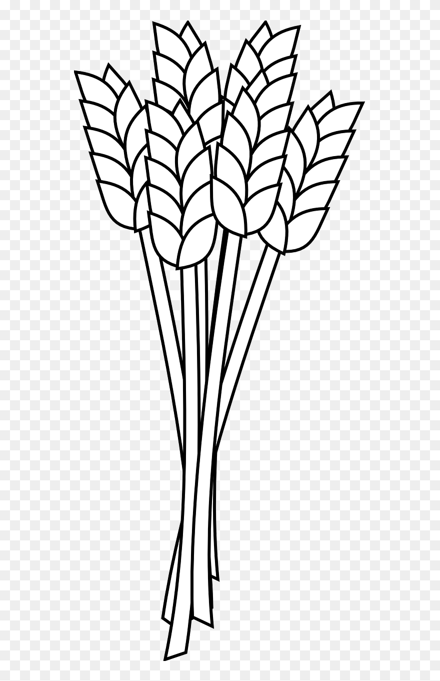 Flour Clipart Wheat Flour - Clipart Wheat Outline - Png Download