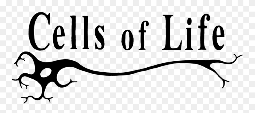 Relay For Life Clip Art - Png Download