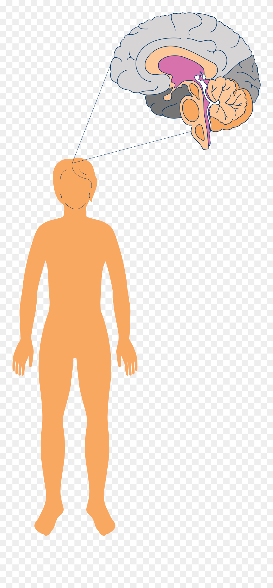Clip Art - Png Download