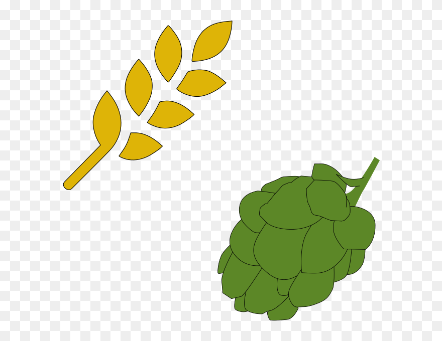 Malt And Hop - Malt Clipart - Png Download