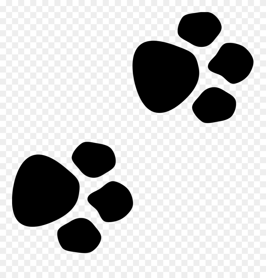 Paw Cat Pet Boxer Image - Transparent Background Cat Paw Icon Clipart
