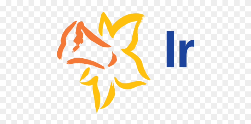 Irish Cancer Society Vertical Logo - Irish Cancer Society Daffodil Day Clipart