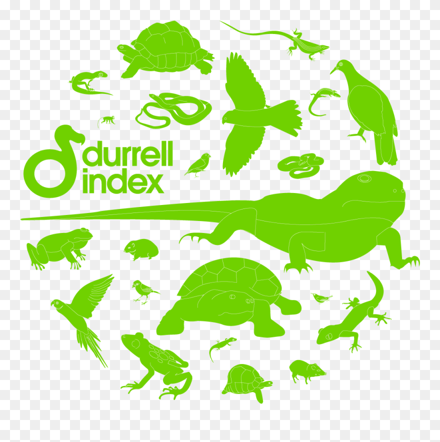 Durrell Wildlife Conservation Trust - Animal Population Transparent Clipart