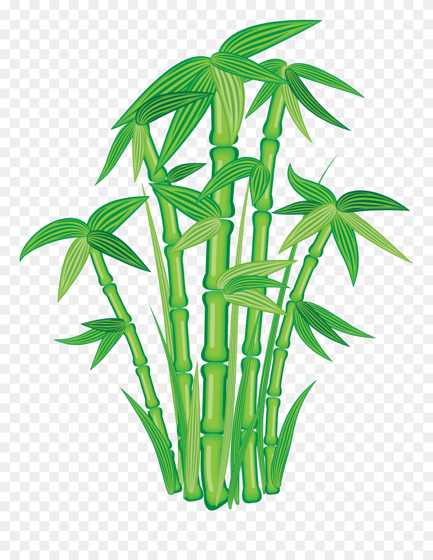 Bamboo Can Save The Planet Clipart