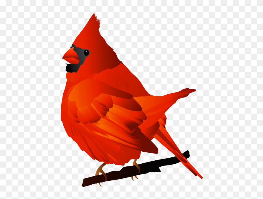 Holiday Clipart Cardinal - Cardinal Clip Art - Png Download