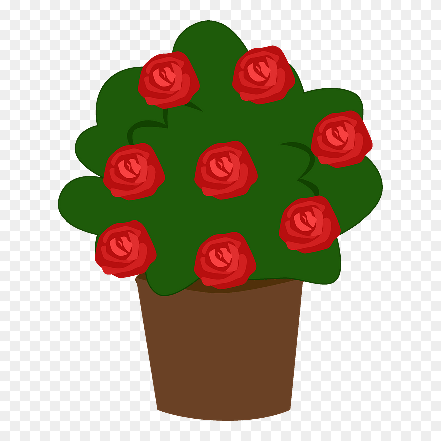 Pot With Roses Clipart - Garden Roses - Png Download