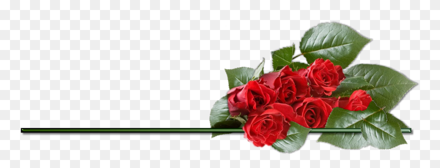 Clipart Rose Png - Roses Birthday Hd Png Transparent Png