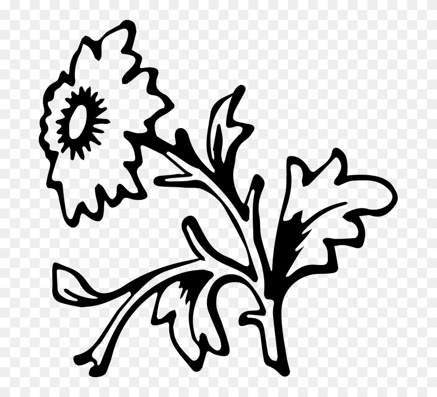 Transparent Simple Decorative Line Clip Art - Gambar Seni Grafis Mudah - Png Download