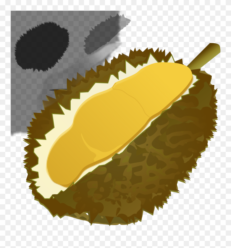 Durian Svg Clip Arts - Durian Vektor Png Transparent Png