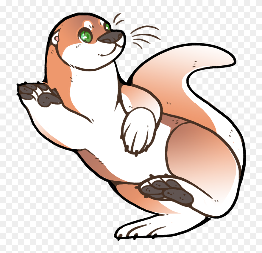 Drawing Furry Otter Transparent Png Clipart Free Download - Cartoon