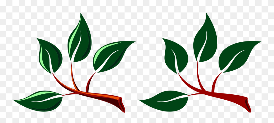 Stick Clipart Twig Leaves - Branch With Leaves Clipart - Png Download