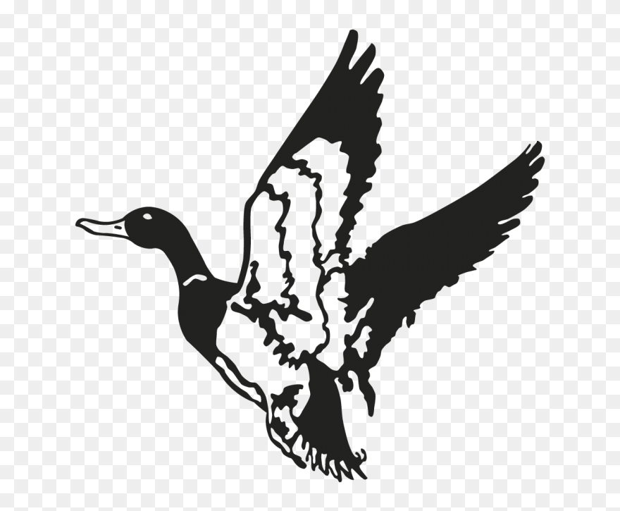 Duck Mallard Decal Waterfowl Hunting - Flying Duck Clip Art - Png Download