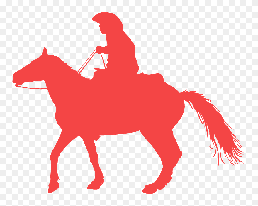Stallion Clipart