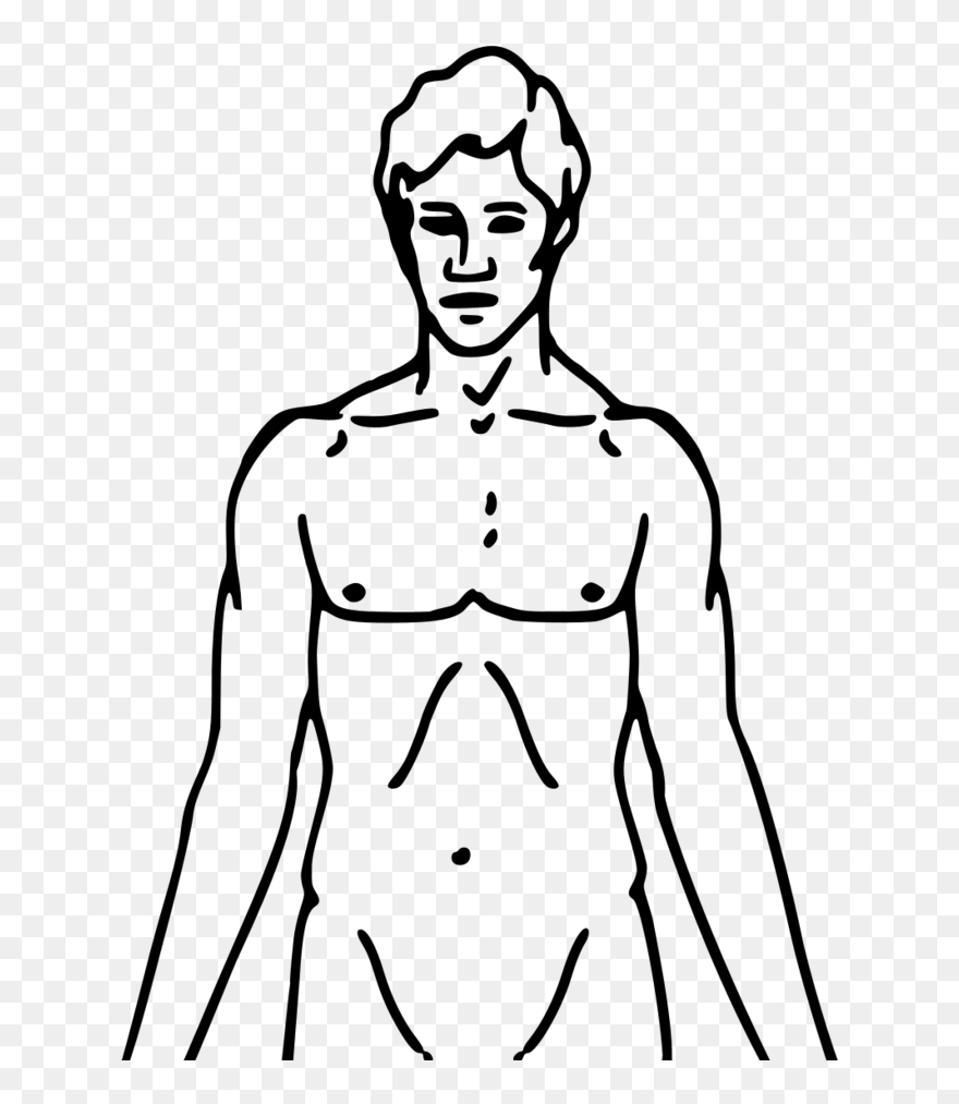 Pioneer Plaque Man Upper - Human Body Clipart Black And White - Png Download
