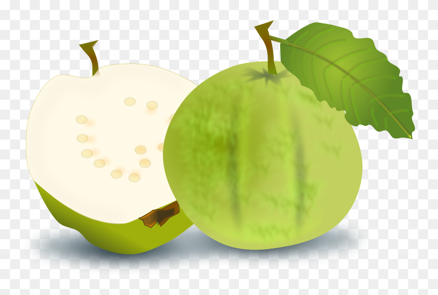 Free Guava - Guava Clipart - Png Download