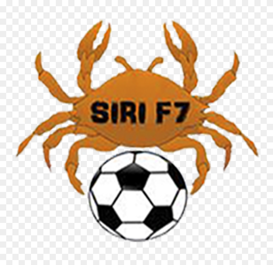 Volleyballball Clipart Black And White , Png Download - Transparent Background Soccer Ball Cartoon Png