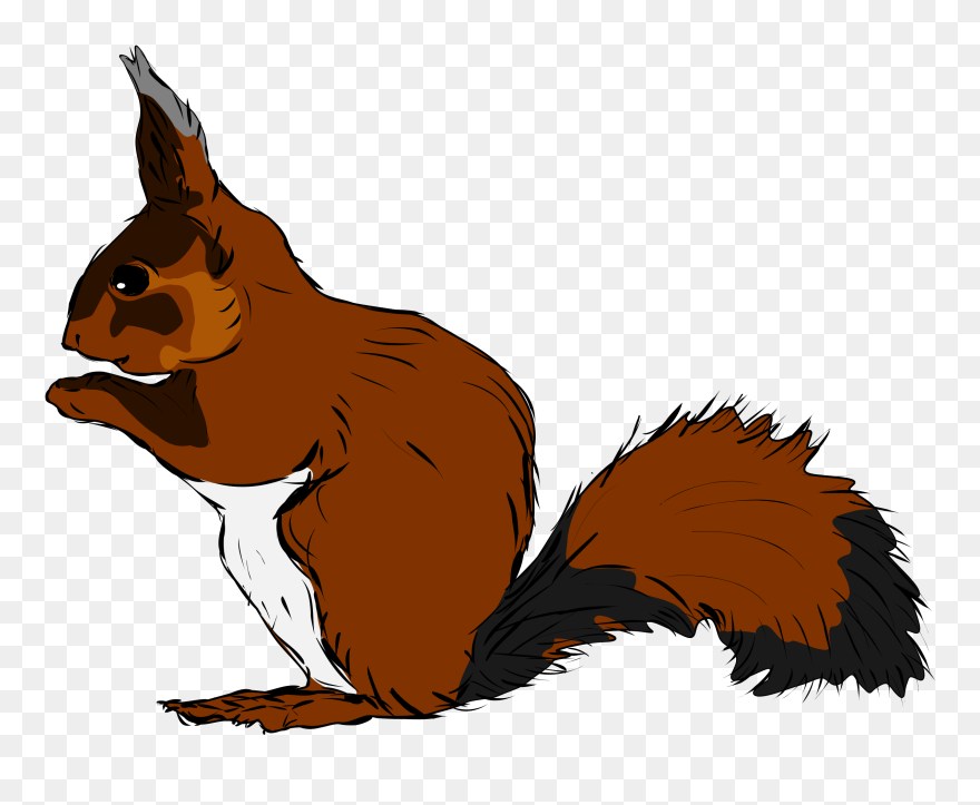 Vector Squirrel - Clipart - Woodland Animals Flashcards - Png Download