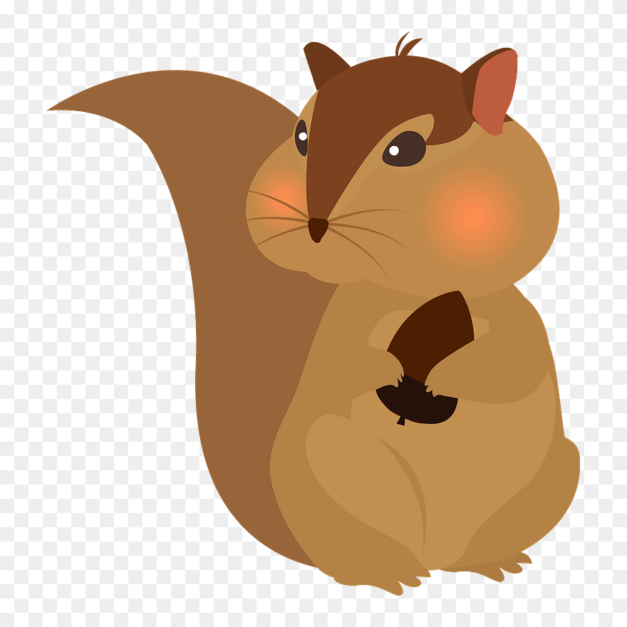Squirrel Animal Clipart - Illustration - Png Download