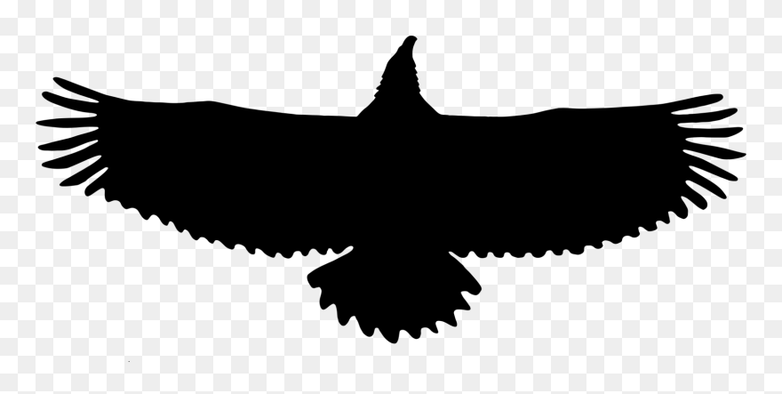 Clip Art Silhouette Eagle - Png Download