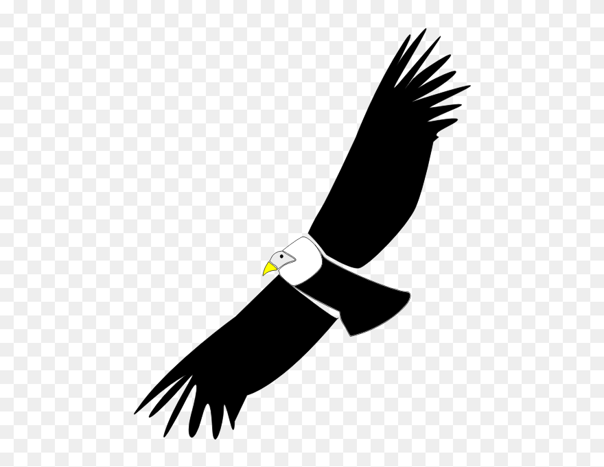 Condor - Condor Clipart - Png Download