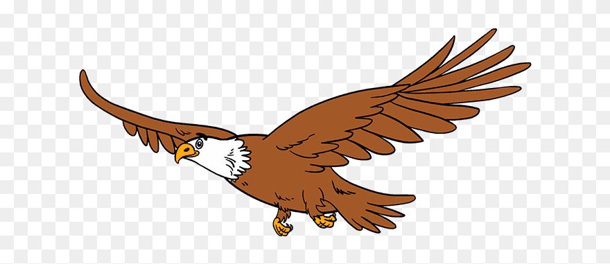 How To Draw An Eagle In A Few Easy Steps Easy Drawing - Step By Step Eagle Drawing Easy For Kids Clipart