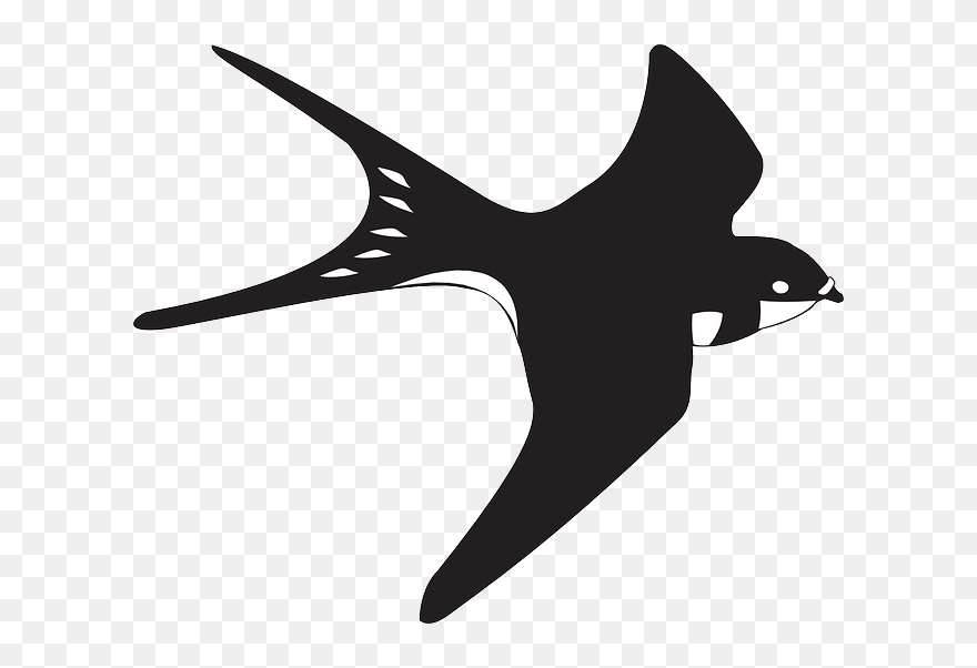 Black, White, Bird, Flying, Wings, Feathers, Soaring - Birds Black And White Clipart Png Transparent Png