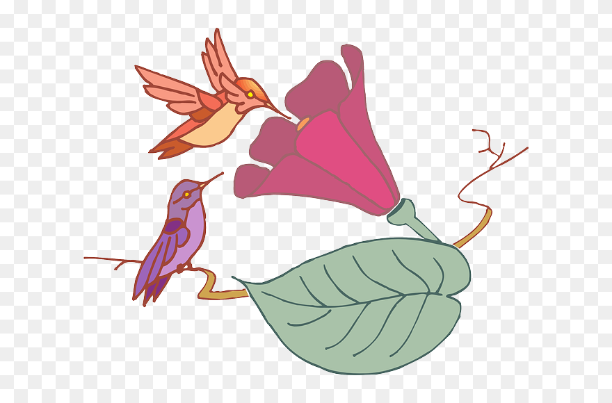 Leaf, Flower, Birds, Flying, Colors, Wings, And - Animasi Bergerak Warna Pink Clipart