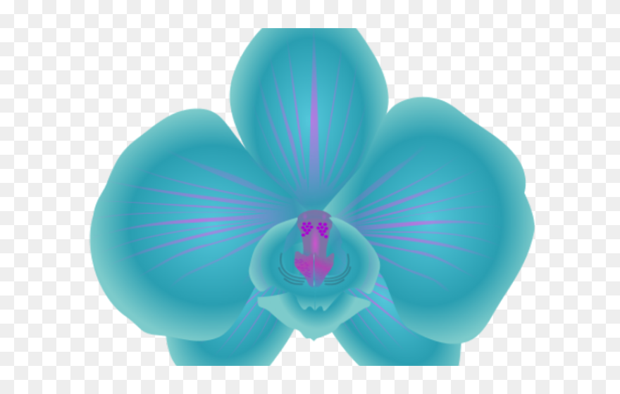 Transparent Orchid Clipart - Blue Orchid Clip Art - Png Download