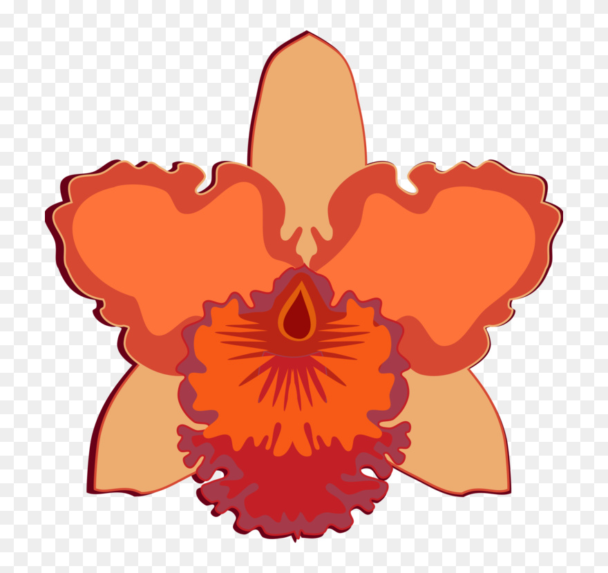 Transparent Peach Flower Png - Orchid Drawing Easy Clipart